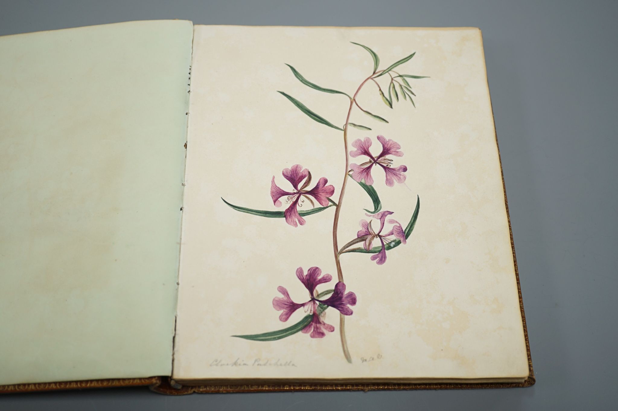 Mary Ann Vogan - an early 19th century album of 60 watercolours, pencil and ink drawings and engravings, including portraits, botanical specimens, land and seascapes, including 3 by R.C. Vogan, the front fly leaf inscrib